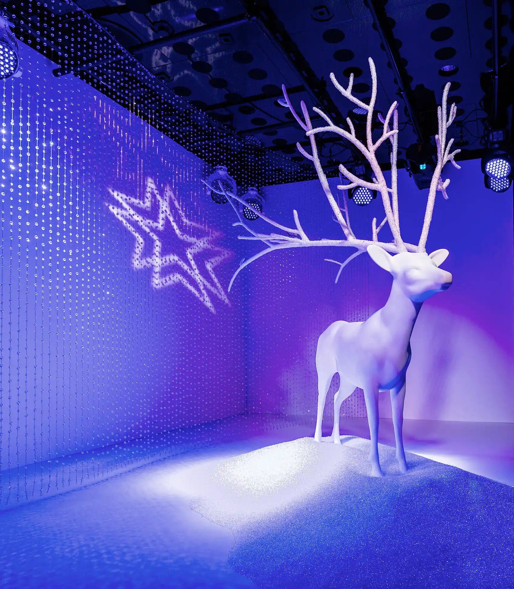 Christmas riendeer gallery image 3