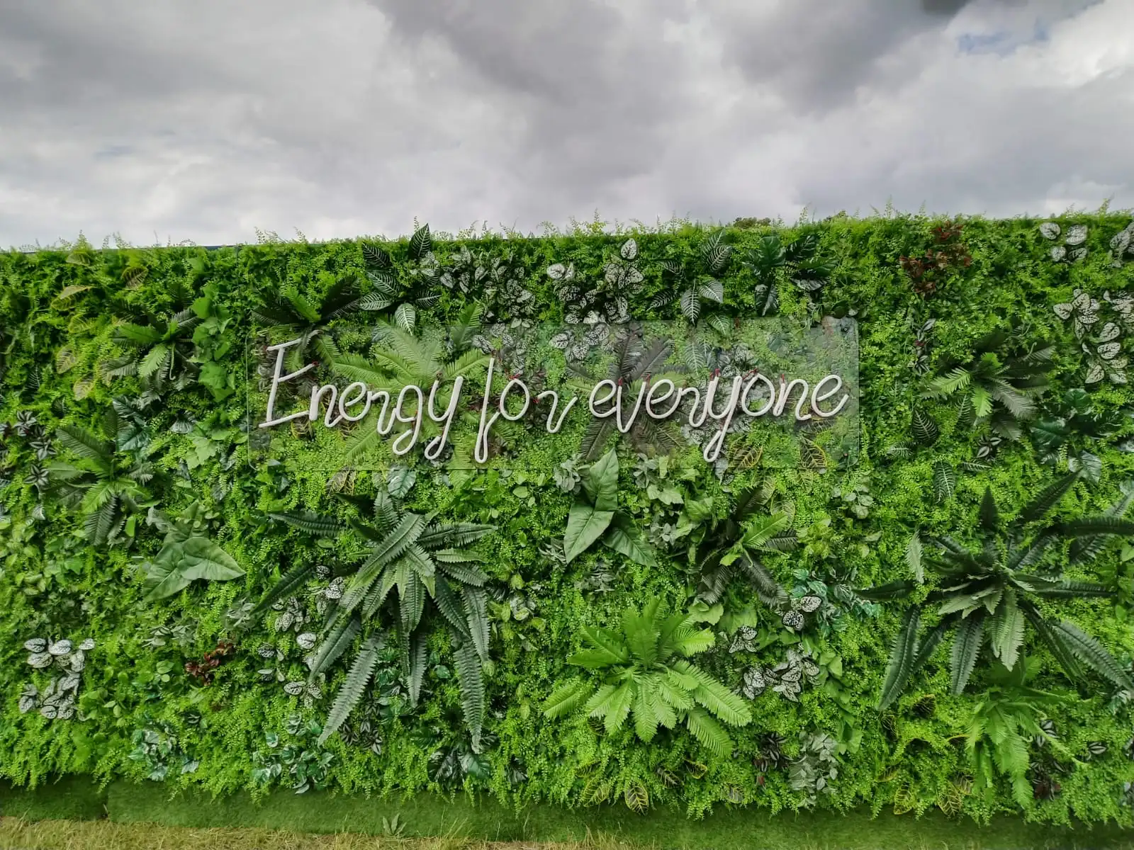 Living wall